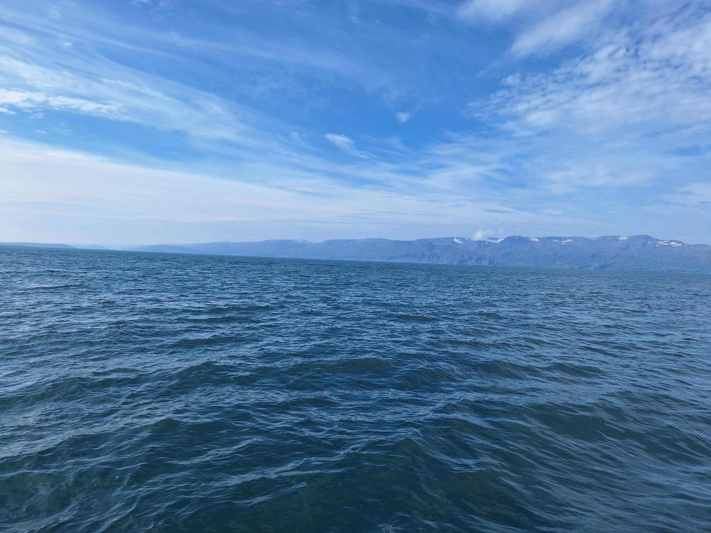 Blick auf das blaue Nordmeer vor Islands Küste mit Bergen im Hintergrund – Weite und Ruhe auf panikontour.de