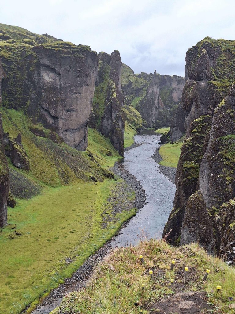 Fjaðrárgljúfur-Canyon in Island mit grünem Moos und Flusslauf – Naturparadies auf panikontour.de