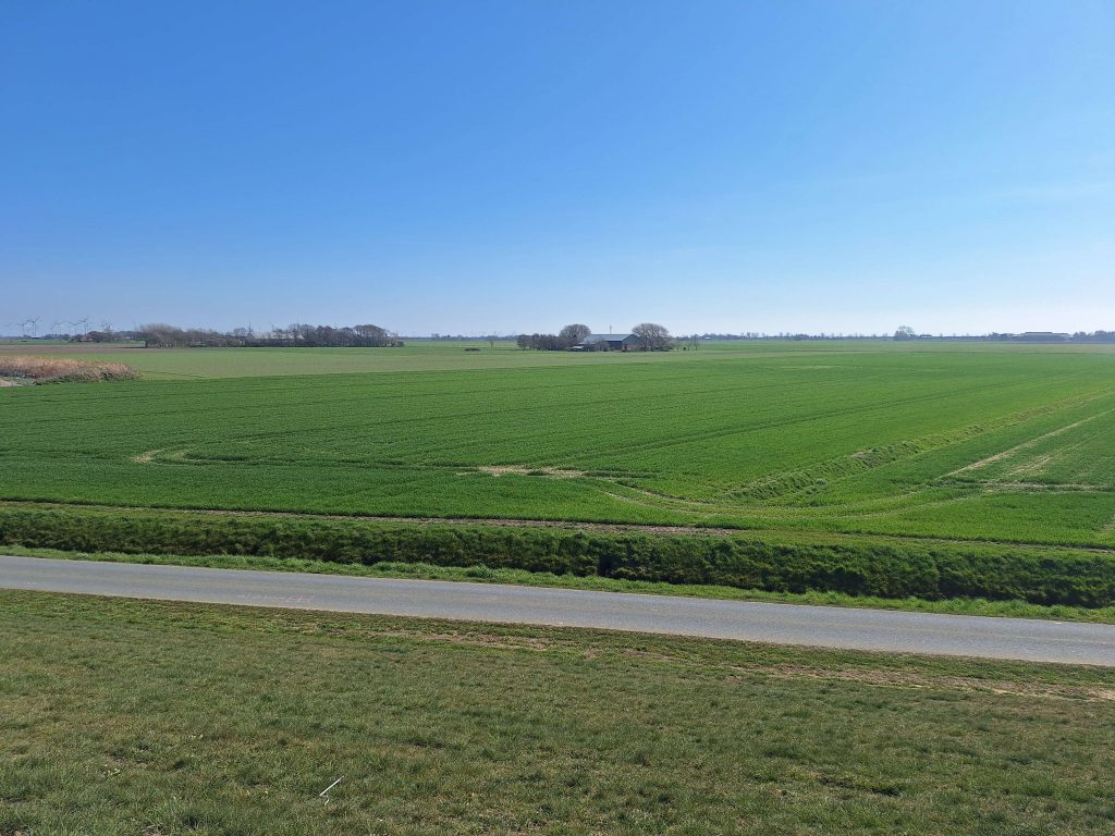 Grüne Felder und weite Landschaft bei Brunsbüttel – Blick über die Marsch auf panikontour.de