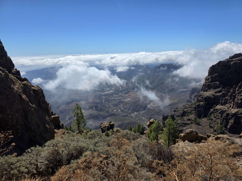 Blick von den Bergen Gran Canarias über Wolken und Täler – Naturpanorama mit Felsen und Pinien auf panikontour.de