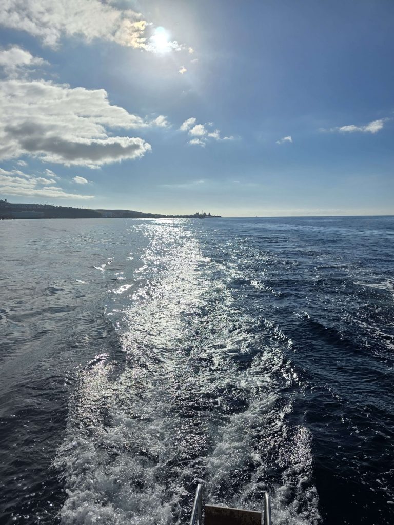 Blick vom Boot aufs Meer bei Gran Canaria mit Sonnenreflexion im Wasser – Reiseaufnahme auf panikontour.de